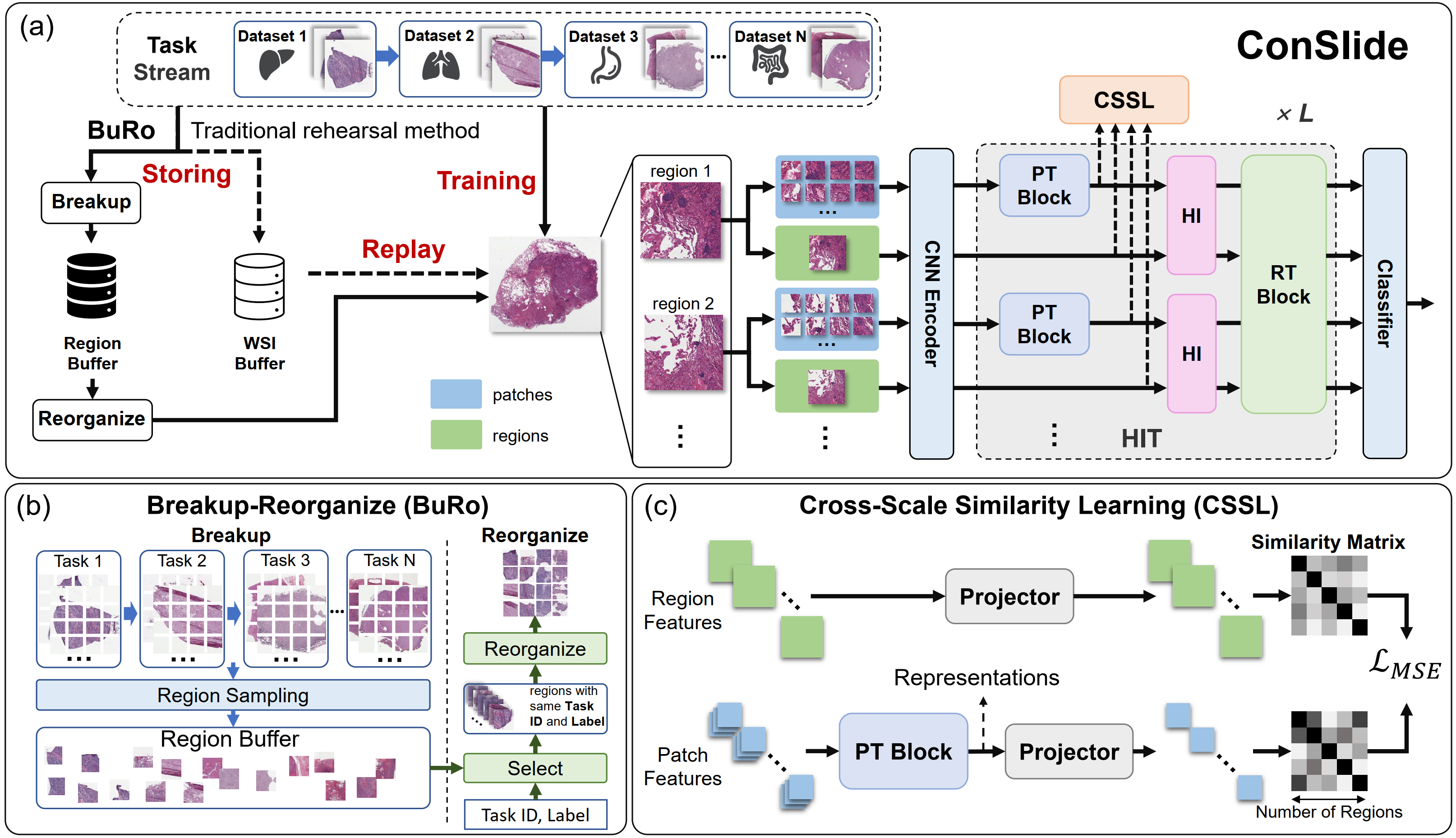 Conslide: Asynchronous hierarchical interaction transformer with breakup-reorganize rehearsal for continual whole slide image analysis